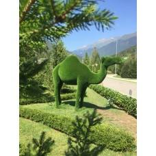 Скульптура Топиари "Верблюд одногорбый"